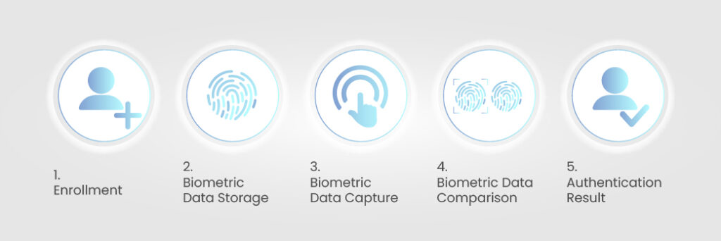 biometrics authentication process