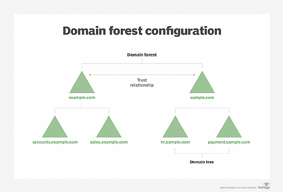 Domain forest configuration in Active Directory